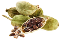 kardamons kafijai